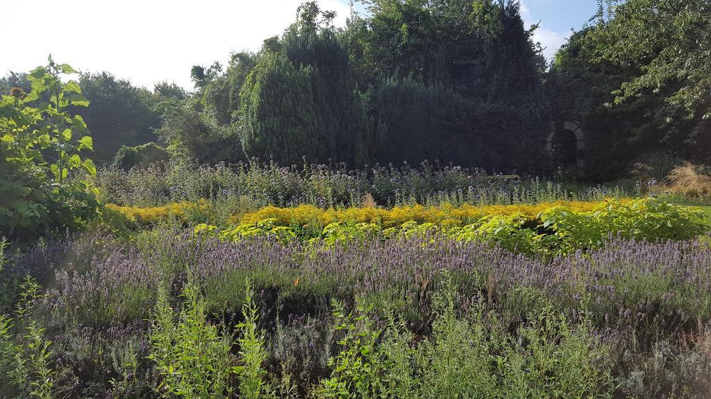 Bloemenboerderij Aperloo Bed and Breakfast Εξωτερικό φωτογραφία