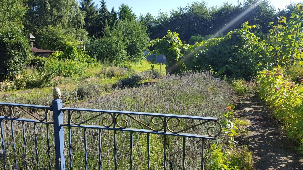 Bloemenboerderij Aperloo Bed and Breakfast Εξωτερικό φωτογραφία